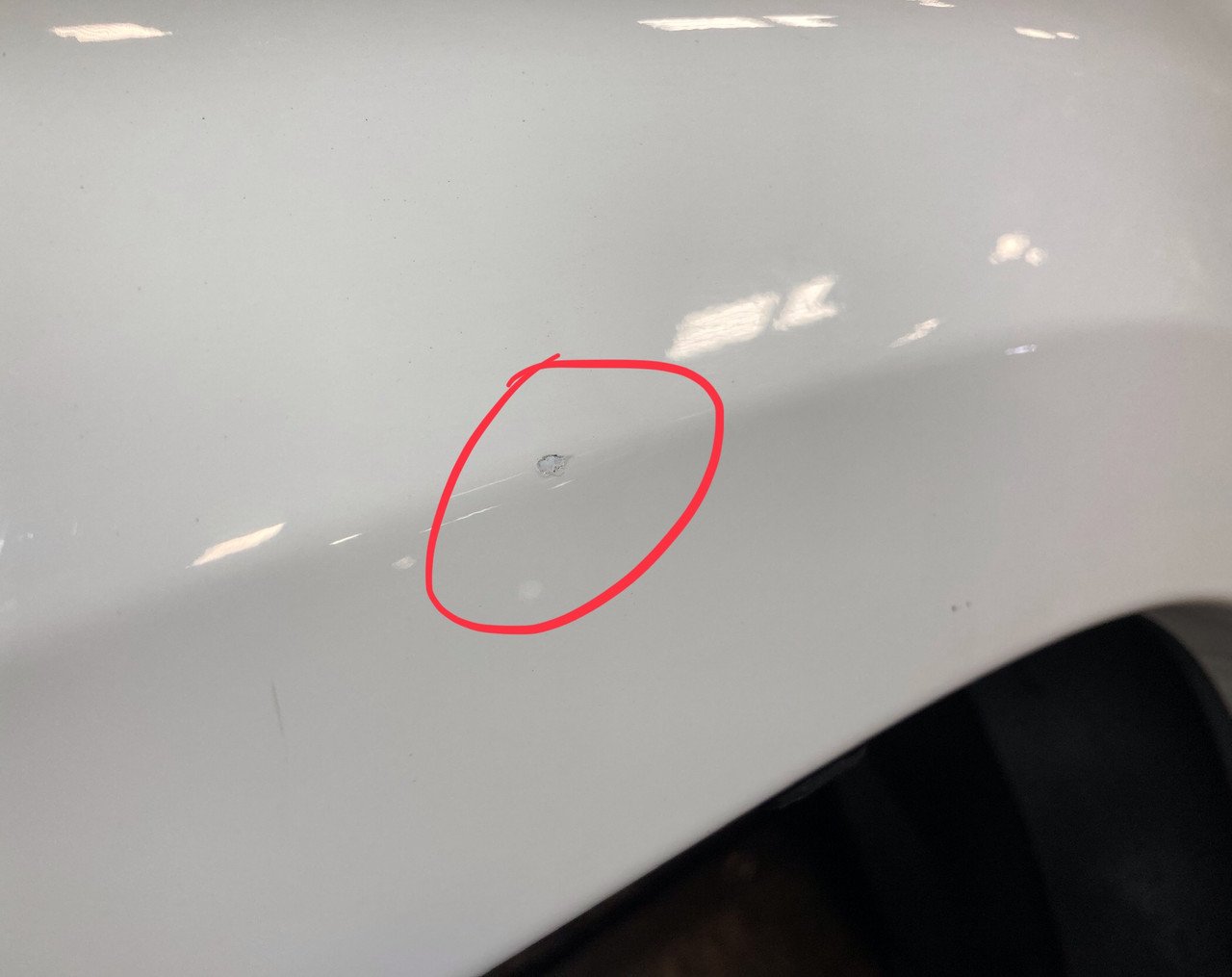 2016-2023 Toyota Tacoma 5' Driver Side Truck Bed Body Panel / Ice Cap TC003 - Image 8