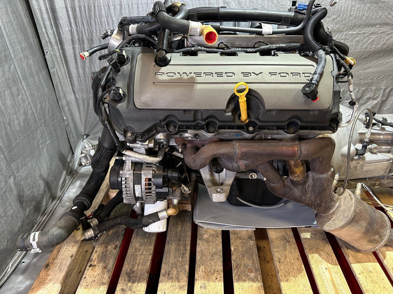 2015-2017 Ford Mustang GT S550 5.0 Gen 2 Coyote V8 Engine Long Block w/ MT-82 Manual Transmission / 91K FM016 - Image 2