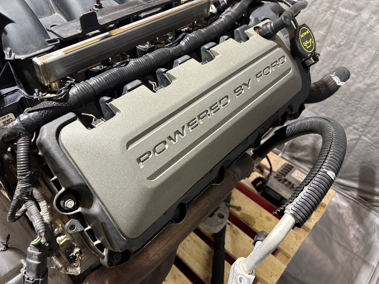 2015-2017 Ford Mustang GT S550 5.0 Gen 2 Coyote V8 Engine Long Block w/ MT-82 Manual Transmission / 91K FM016 - Image 15