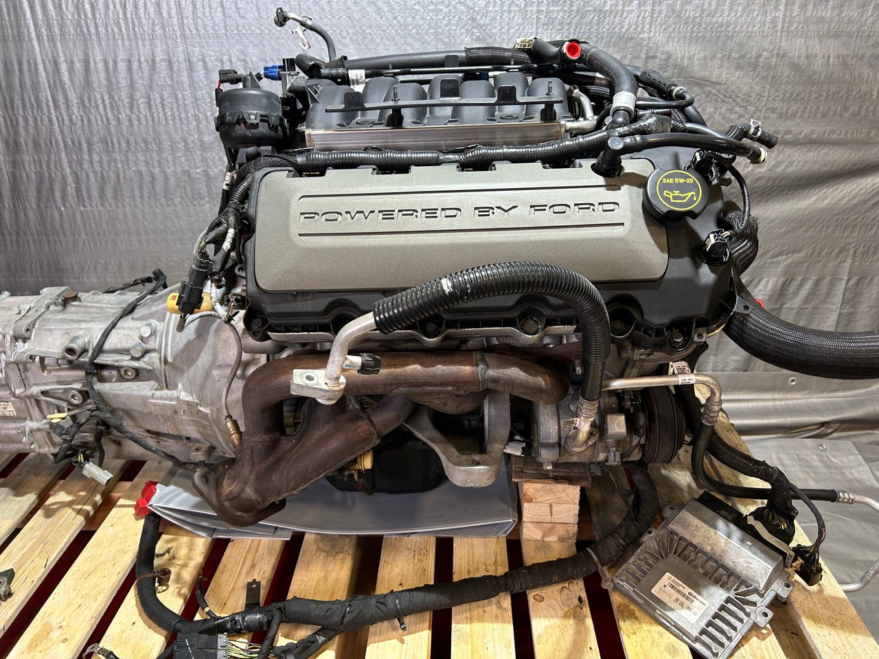 2015-2017 Ford Mustang GT S550 5.0 Gen 2 Coyote V8 Engine Long Block w/ MT-82 Manual Transmission / 91K FM016 - Image 29