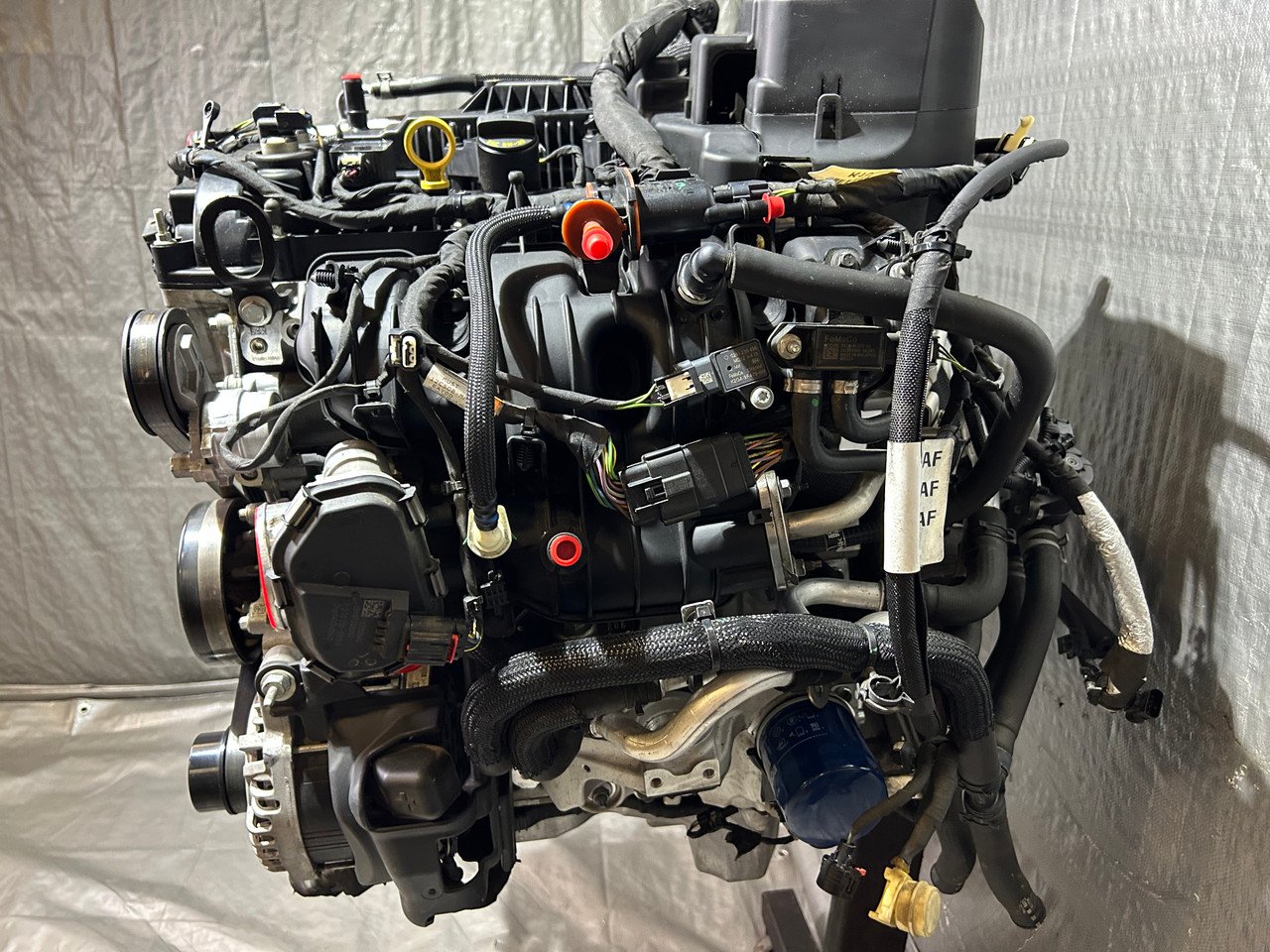 2021-2023 Ford Bronco 2.3l Engine Long Block w/ Turbocharger / Automatic / 83K BR005 - Image 22